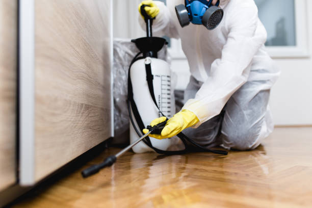 Best Insect Control  in Warrensville Heights, OH