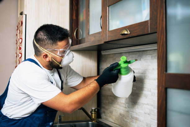 Best Best Pest Control Companies  in Warrensville Heights, OH