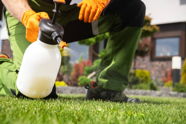 Best Local Pest Control Services  in Warrensville Heights, OH