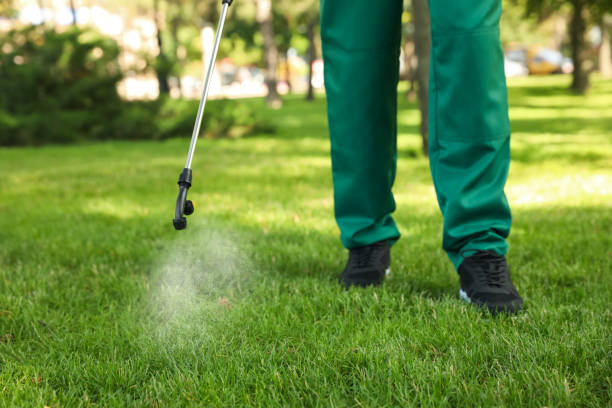 Best Pest Control for Restaurants  in Warrensville Heights, OH