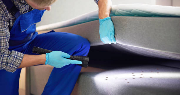 Pest Control for Restaurants in Warrensville Heights, OH