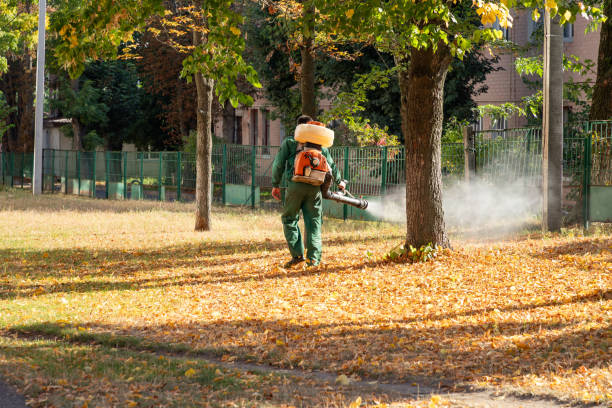 Best Cockroach Control Services  in Warrensville Heights, OH