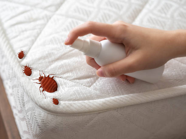Best Bed Bug Extermination  in Warrensville Heights, OH